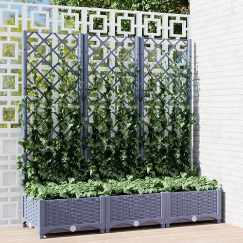 Iiaky Jardinera con Enrejado PP Gris Oscuro 120x40x121,5 cm Jardineras Exterior Grandes Separadores Jardin