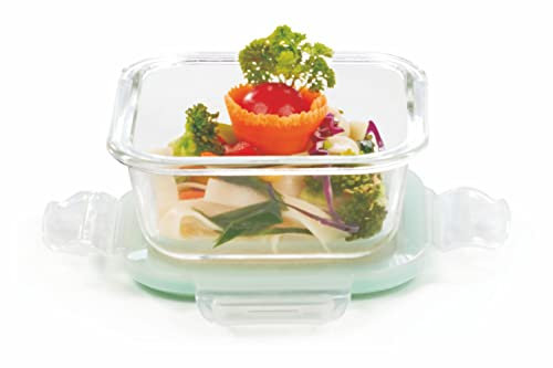 Signoraware Lock 'n' Store récipient en verre, 310 ml/11 cm