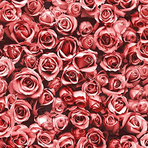 Muriva Rosalee Red Wallpaper 158502 - Feature Small Roses Floral Photographic