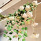 Hoya Pflanze Samen、 Wachsblume、Porzellanblume、 schnell wachsender、Dekorative Pflanzen luftreinigende zimmerpflanzen、balkon deko bonsai samen、einfach zu Pflanzen deko wohnzimmer 200pcs