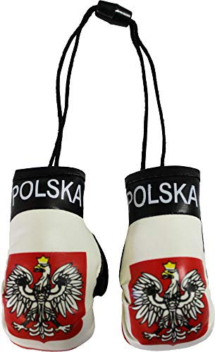 Flagline - Polen Boxhandschuhe (Schwarz) - Boxen - Training - Sport