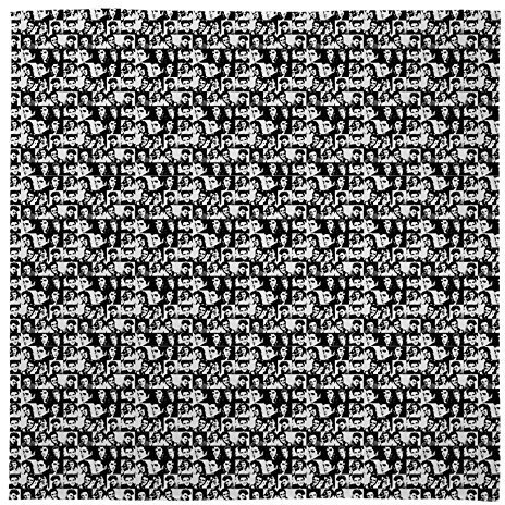 L&S PRINTS Elvis-Decke aus weichem Fleece, Schwarz/Weiß