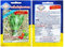 seedsown Germination Les graines: graines, 2000+ culantro, Thai Persil, Long Coriandre, Recao, fétide Eryngium foetidum