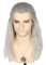 MINDONG Lange gelockte graue Perücke for Männer Cosplay Geralt von Rivia Perücke inspiriert von The Witcher for Halloween-Kostümpartys CLWQR (Color : Grey)