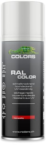 COLORS Sprühlack - 400ml Spraydose - Sprühfarbe für alle Oberflächen, Innen und Aussenbereich, Tolle Deckkraft | RAL9010 - Reinweiss Glanz