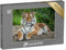 puzzleYOU: Puzzle 48 Teile „Sibirischer Tiger, auch bekannt als Amur-Tiger“ – aus der Puzzle-Kollektion Tiger, Tiere in Savanne & Wüste
