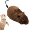 Jouet De Souris Mécanique, Souris De Course Réaliste, Souris en Peluche pour Chat, Jouet De Chasse pour Chat, Cadeau pour Chatons Couleur Aléatoire (1pcs)