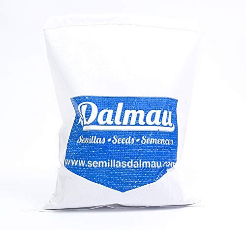SEMILLAS DALMAU Semillas de Césped, CYNODON DACTYLON COMUN, Semillas Grama Fina/Bermuda para Campos Deportivos y Jardines, Bajo Mantenimiento y Consumo de Agua, 1kg