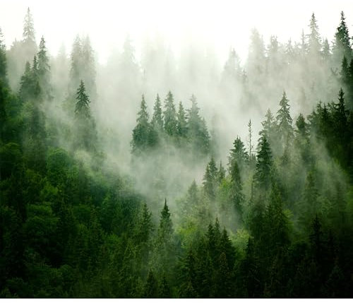 decomonkey - Papier Peint Panoramique Adhésif Foret 392x280 cm - Stickers Muraux Chambre Déco XXL Autocollant - Vert gris - Arbres montagnes habillés en automne paysage forêt brouillard tendances