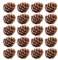 100 Stück Tannenzapfen für Weihnachten, natürliche Tannenzapfen, 2–3 cm, rustikale Tannenzapfen, Weihnachts-Tannenzapfen, Großpackung Ornamente für Kranz, Dekorationen, Weihnachten, Tannenzapfen,