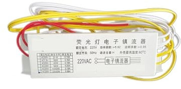 FANNIXI reattore elettronico T8 Alimentatori elettronici 20w 30w 36w 40w Universale 220V 50Hz Lampada al Neon Ballast Lampade Fluorescenti Raddrizzatore 1 Uscita/2 uscite(Color:2 Output)