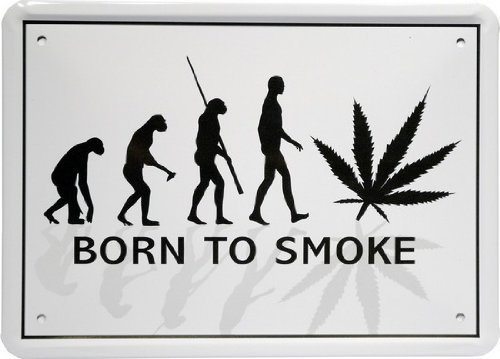WOGEKA ART Retro Blechschild - Evolution Cannabis - witziger Spruch als Geschenk-Idee zum Geburtstag Weihnachten zur Dekoration 21x15 cm Vintage-Design aus Metall MJ 67