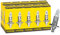 BREHMA 10x H1 12V 55W Halogen Auto Lampe P14,5s