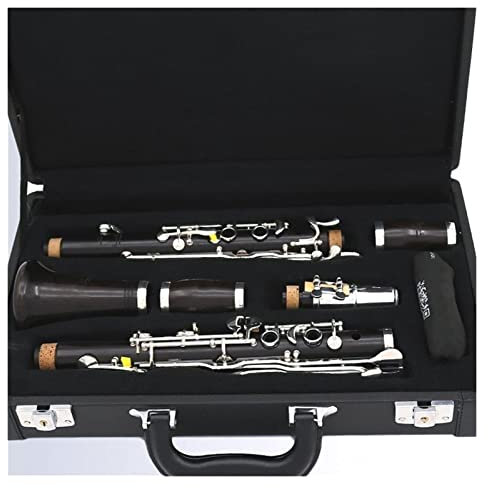 PECY Professionelle Ebenholz Klarinette G Ton 18 Schlüssel Holzblasseinstrument Klarinetten Instrumente (Color : 02)