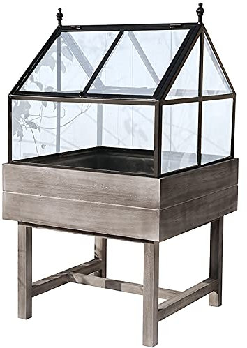 Serra con struttura fredda in legno, mini serra portatile da giardino retrò per piante grasse, muschi e felci