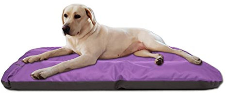 millybo ECO Hundematratze, Hundebett für Kleine, Mittlere, Große Hunde - wetterfestes Hundekissen, kuscheliges Schaum Tierbett, Outdoor & Robustes Hundematte - 100x70x8 cm Lila