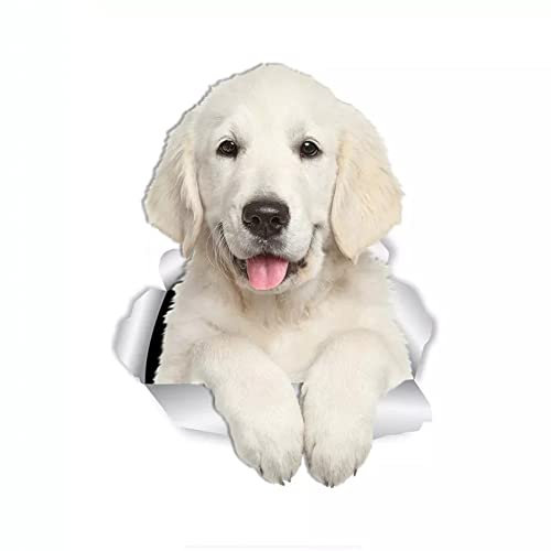 MACMRD Auto Aufkleber 17,5 * 14 cm Golden Retriever 3D-Hundeaufkleber Für Autodekor Wasserdichter Aufkleber
