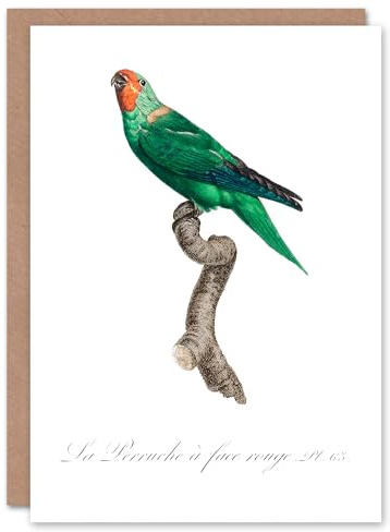 Artery8 Francois Levaillant Art Card The Red Faced Parrot