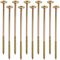 AERZETIX - C67513 - Lot de 10 Vis à bois Ø8x230mm à tête large bombée - à empreinte étoile Т40 - en acier zingué - menuiserie, contreplaqués, agglomérés, mélaminés