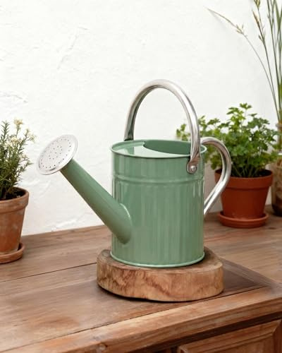 Bamworld Gießkanne Zimmerpflanzen 1,9L (1/2 Gallone) aus Verzinktem Stahl, Kleine Gießkanne mit Langer Tülle für Haus & Garten, Vintage Design Blumengießer -Hellgrün