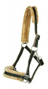 Halfter mit Kunstfell unterlegt, braun-hellblau Cob