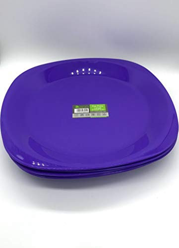 Reusable ECO Unbreakable Colourful Plastic Dinner Flat Plate - Shatterproof - 100% Food Safe - Perfect for Camping, Indoors, Outdoors, and picnics (Purple, Large)