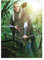 Displate Offiziell Herr der Ringe MetallPoster Magnetische Befestigung Inklusive Lizenziert Bilder Hochwertiges Poster Lord of the Rings Characters - Legolas Poster 45 cm x 32 cm