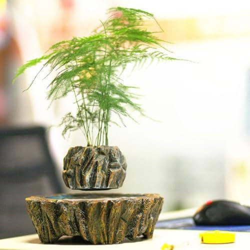 zenggp Schwebender Blumentopf, 360° Drehbarer Blumentopf-Bonsai Mit Magnetischem Schwebedesign, Topfdekor Für Den Schreibtisch Zu Hause, Für Wohnzimmer Büro Arbeitszimmer