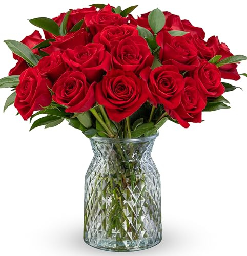 Benchmark Bouquets - 24 Stängel Rote Rosen (Glasvase inklusive) - Frische Blumen für Lieferung am nächsten Tag - Geschenk zum Geburtstag, Jahrestag, Genesung, Trauer, Glückwunsch, Valentinstag