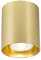 QAZQA - Modern Design AufbauSpot I Spotlight I Deckenspot I Deckenstrahler I Strahler I Lampe I Leuchte Gold I Messing GU10 50mm - Tubo I Wohnzimmer I Schlafzimmer - Aluminium Rund - LED geeignet GU10