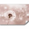 murando Fototapete selbstklebend Pusteblumen 392x280cm Foto Tapete Tapetenfolie Möbelfolie Wandverkleidung Wandtapete Motivtapeten Bildtapete Wohnzimmer 3d Effekt Modern Blumen Natur vintage beige