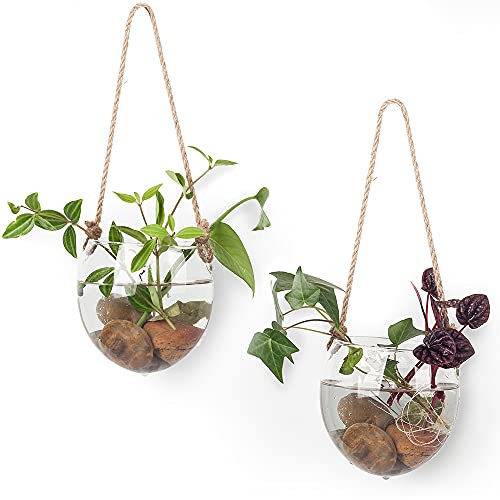 Paquete de 2 macetas de cristal colgante para plantas hidropónicas en el hogar, jardín, oficina, sala de estar, forma oblata