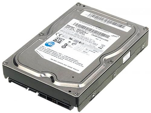 SIMPLETEK - Hard Disk Interno SATA II 3,5 750 GB – 7200 RPM, 32 MB Cache, Modello HD753LJ (Ricondizionato)