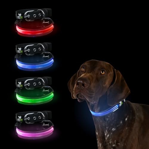 Petty Italia Verstellbares Hundehalsband aus Biothane mit LED, Nachtleuchtendes Halsband aus Biothane mit PVC und wiederaufladbarem Akku (Rot, S)