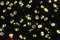 Tarrington House LED-Lichterkette mit Timer, Kupfer/Kunststoff, 40 warmweiße LEDs, 3,9 m, 2,4 W
