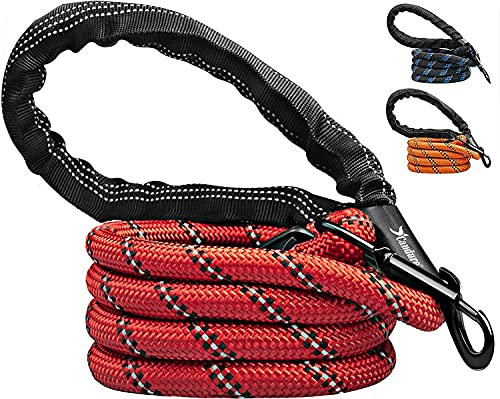 Candure Laisse Chien avec Souples Poignée Rembourrée et Antidérapant Corde pour Chien de Dressage Aux Chiot, Petits, Moyens et Gros Chiens Convient Course à Pied Jogging et Randonnée (Rouge)