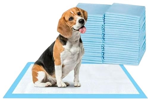 Bazaar Large Puppy Pads 100 Pack Disposable Puppy Training Pads 60x60cm | Highly Absorbent Leak-Proof Dog Training Pads | Premium Quality Quick-Dry Dog Pads (60x60cm - 100 Count)