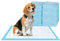 Bazaar Large Puppy Pads 100 Pack Disposable Puppy Training Pads 60x60cm | Highly Absorbent Leak-Proof Dog Training Pads | Premium Quality Quick-Dry Dog Pads (60x60cm - 100 Count)