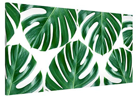 Magnettafel Tropische grüne Blätter Monstera Memoboard Panorama 1:2, 37cm x 78cm