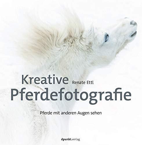 Kreative Pferdefotografie: Pferde mit anderen Augen sehen