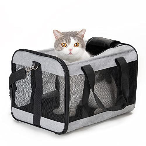 HITSLAM hundebox Faltbar Hundetransportbox Katzentransportbox Katzenbox Transportbox katzentasche für Hund, Katzen, Airline Zugelassen, Reisefreundliche Transporttasche (M)