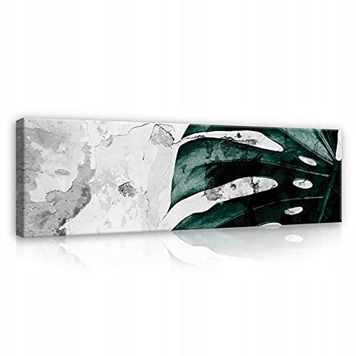 WallArena - Leinwand Bilder - Panorama Blätter Mostera Natur - 145x45 cm Leinwandbilder - Bild auf leinwand - Wandbild XXL groß Wandbilder für Wohnzimmer Schlafzimmer Wohnzimmerbilder Modern