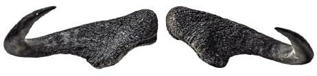 Generisch Gnu Hörner ca. 62cm. Tier-Kunsthörner, handgefertigt, robust & leicht – Ideal für Krampus, Perchten, Partys & Themenveranstaltungen und Deko von Motes Masken (Gnu)