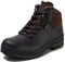Berghaus Hillmaster II Gore-Tex Walking Boots, Stivali da Escursionismo Alti Uomo, Marrone (Coffee Brown Bj8), 46.5 EU
