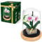 LUFEIS Blumen Bausteine Set, Rose Unsterblicher Blumenstrauß Baustein mit Schutzhülle, Kunstpflanzen Bausteine ​​​​für Erwachsene, Geschenk für Mama Freundin (Weiße Phalaenopsis)