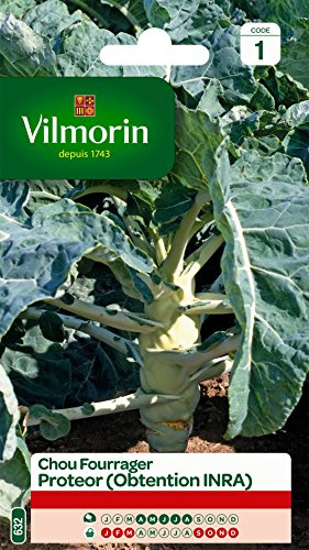 Vilmorin Chou Fourrager | Jardin, Légumes, Graines, Semence, Chou, Productive