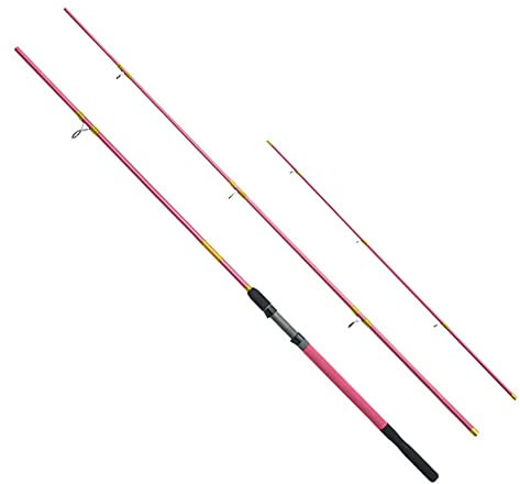 Delphin Queen Feeder 12ft 360cm 100g 3 Spitzen Feederrute