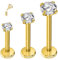 ESHIONER G23 Titan Tragus Piercing Schmuck Ohr Helix Labret Lippe Lippenpiercing Bar Stecker Knorpel Ohrringe Ohrpiercing Hypoallergen Gold Internally Threaded Flat Back Studs 16g 6mm 8mm 10mm