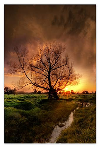 H1214 Poster, Eiche, 62 x 93 cm