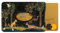 Color Pop Porte-Carte Rigide (1) Anti-RFID – Fabrication Française – PVC – Anti-RFID - Protection Cartes bancaires - 6 x 9,1 cm (Animaux)
